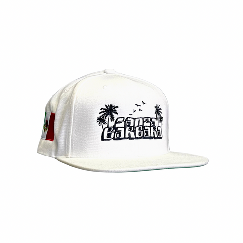 El Transito Collection Big Block SB Snapback