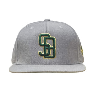 Blockchain Series Green - Caps Sporting Hats